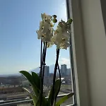 L'orchidea 3*