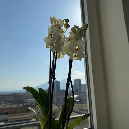 L'orchidea 3*