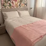 L'orchidea Nápoly